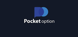 Everything You Need to Know About Pocket Option 16