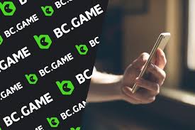 BC.Game Online Casino Platform A Comprehensive Review