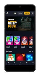Understanding Bitfortune for Casual Players Understanding Bitfortune for Casual Players