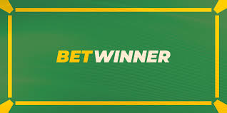 BetWinner Bookmaker A Comprehensive Overview and Guide